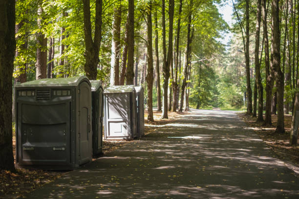 Best Porta potty rental for parties  in Remerton, GA